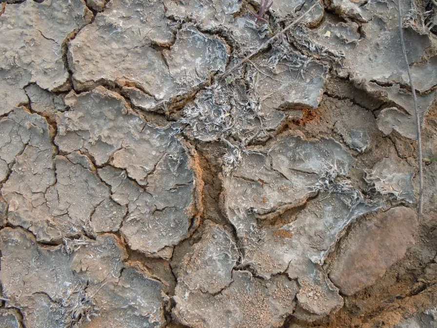 高鹽廢水生化系統(tǒng)如何穩(wěn)定運(yùn)行？