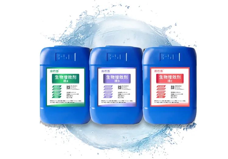 庫巴魯團(tuán)隊(duì)研發(fā)的生物增效劑（菌）